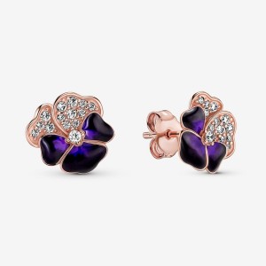 Rose Gold Plated Pandora Deep Purple Pansy Flowers Stud Earrings | FVZX98306