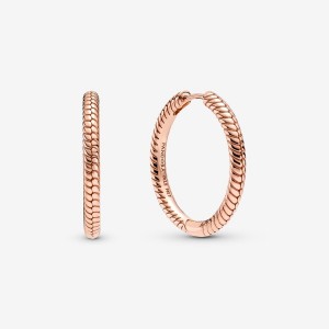 Rose Gold Plated Pandora Moments Hoop Earrings | ZVOT51684