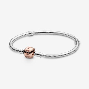 Two-tone Pandora Moments Snake Chain Bracelets | XPAG72183