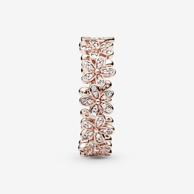 Rose Gold Plated Pandora Daisy Flower Band Rings | HMFN58326