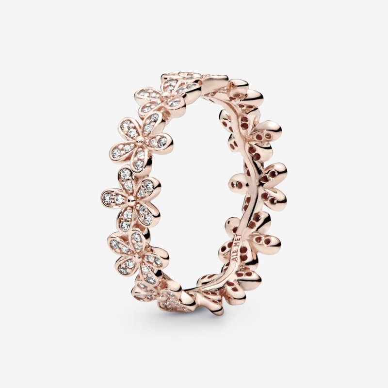 Rose Gold Plated Pandora Daisy Flower Band Rings | HMFN58326