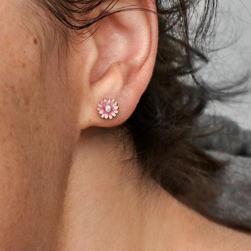 Rose Gold Plated Pandora Pink Daisy Flowers Stud Earrings | ZEFI25974