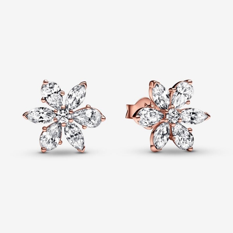 Rose Gold Plated Pandora Sparkling Herbarium Clusters Stud Earrings | UBJH28930