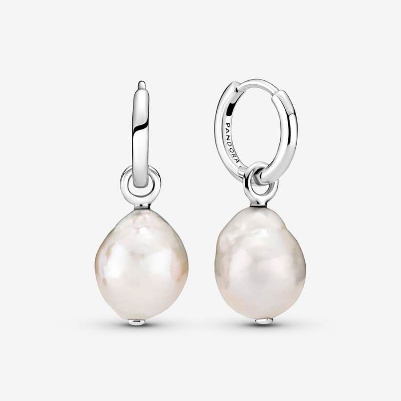 Sterling Silver Pandora Drop Earrings | BOWR98136