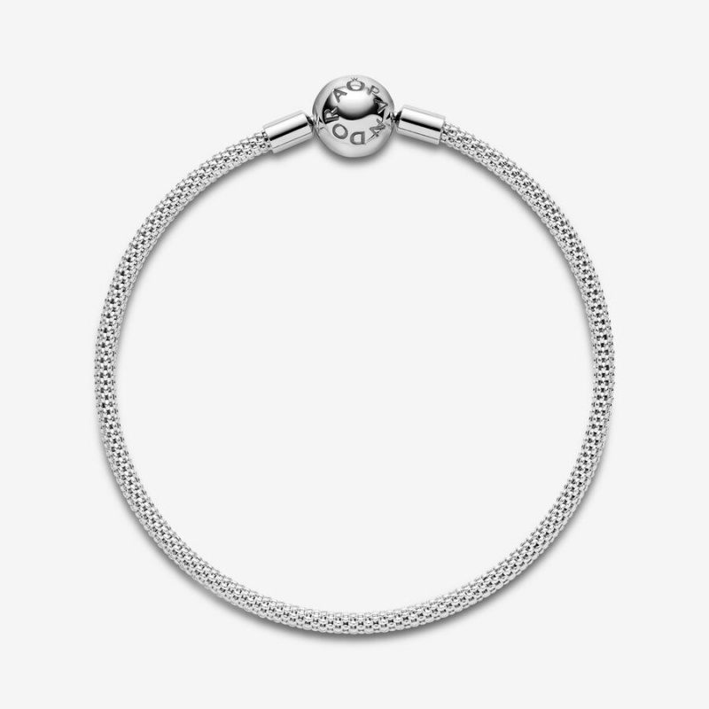 Sterling Silver Pandora Moments Mesh Charm Holders | GLKT05427