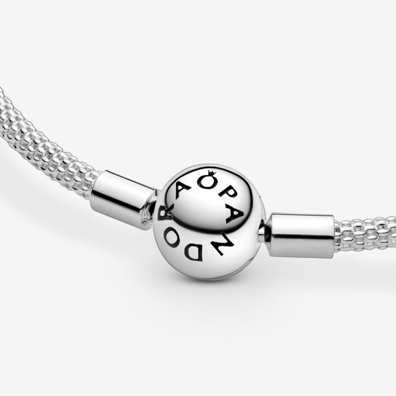 Sterling Silver Pandora Moments Mesh Charm Holders | GLKT05427