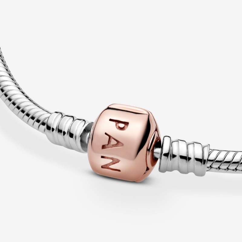 Two-tone Pandora Moments Snake Chain Bracelets | XPAG72183